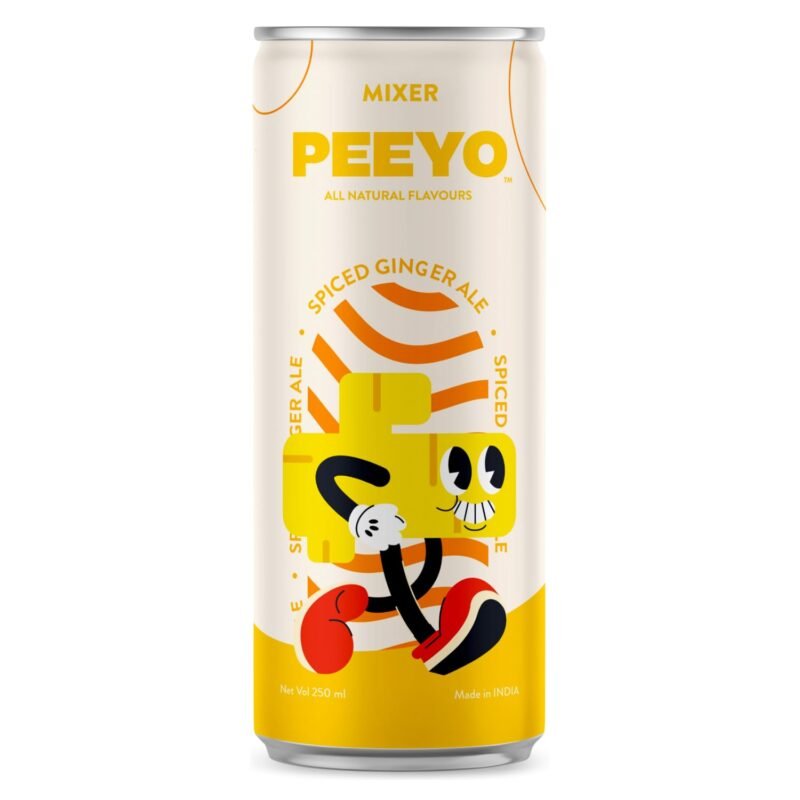 Spiced Ginger Ale Mixer I Ready To Drink | Carbonated I All Natural Drinks, Original Flavour, 250ml per Can (Pack Of 24)